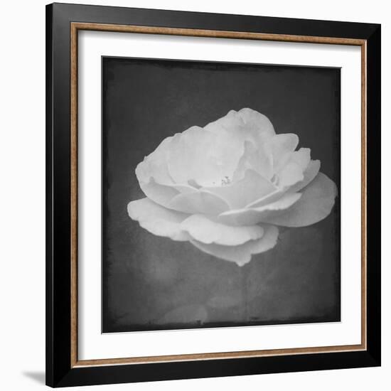 Legendary-Philippe Sainte-Laudy-Framed Photographic Print