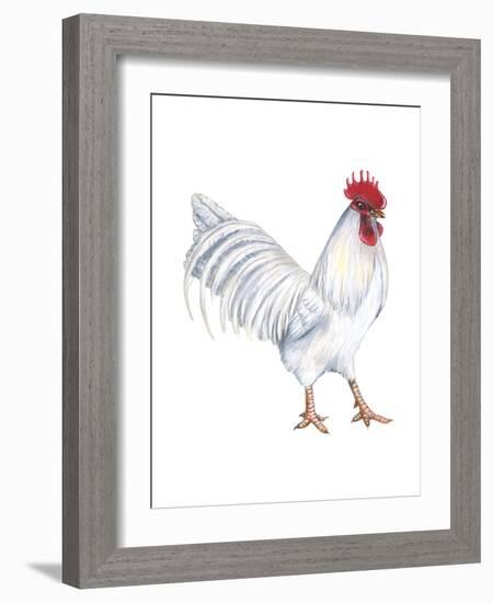 Leghorn (Gallus Gallus Domesticus), Rooster, Poultry, Birds-Encyclopaedia Britannica-Framed Art Print