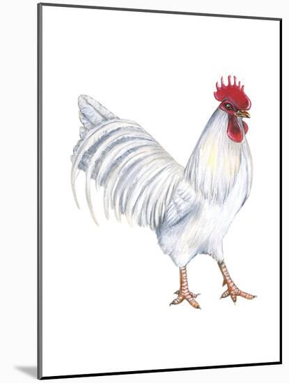 Leghorn (Gallus Gallus Domesticus), Rooster, Poultry, Birds-Encyclopaedia Britannica-Mounted Art Print