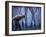 Legs Al-Moises Levy-Framed Photographic Print