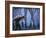 Legs Al-Moises Levy-Framed Photographic Print