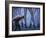 Legs Al-Moises Levy-Framed Photographic Print