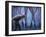 Legs Al-Moises Levy-Framed Photographic Print