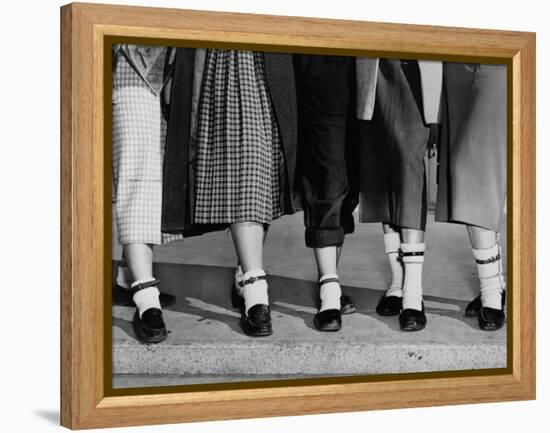 Legs and Feet with Dog Collar Anklets-Roger Higgins-Framed Stretched Canvas