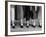 Legs and Feet with Dog Collar Anklets-Roger Higgins-Framed Photo