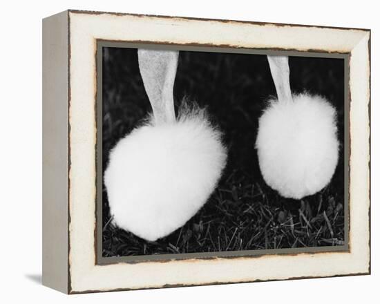 Legs of Groomed Poodle-Henry Horenstein-Framed Premier Image Canvas