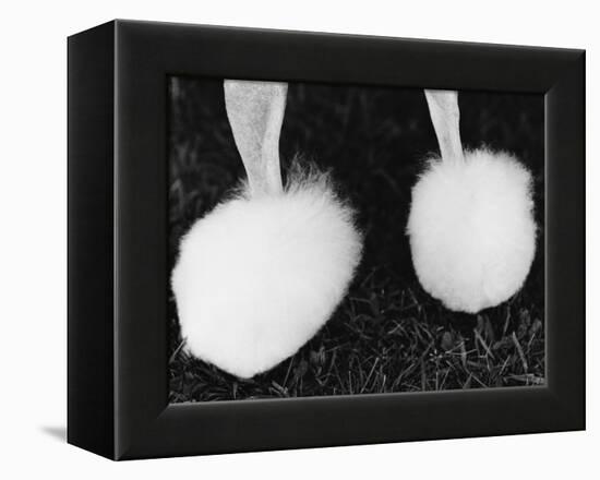 Legs of Groomed Poodle-Henry Horenstein-Framed Premier Image Canvas