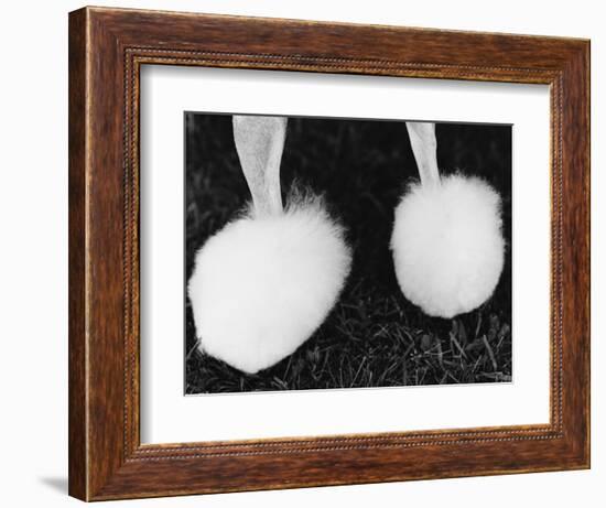 Legs of Groomed Poodle-Henry Horenstein-Framed Photographic Print