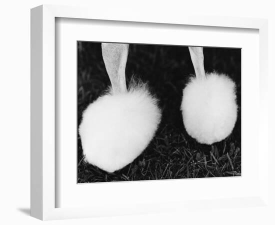 Legs of Groomed Poodle-Henry Horenstein-Framed Photographic Print