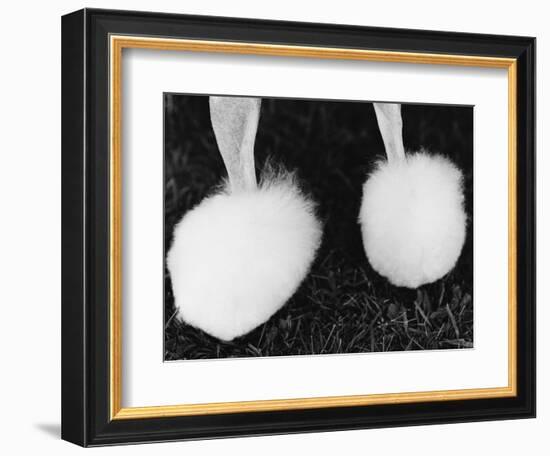 Legs of Groomed Poodle-Henry Horenstein-Framed Photographic Print