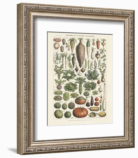 Legumes I-Adolphe Millot-Framed Art Print