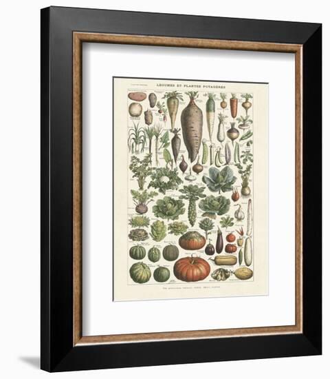 Legumes I-Adolphe Millot-Framed Art Print