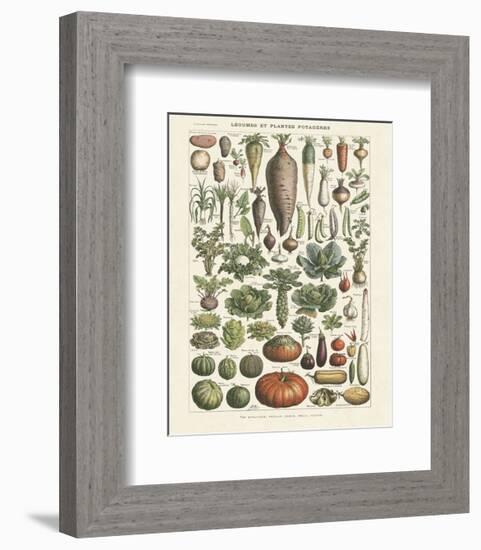 Legumes I-Adolphe Millot-Framed Art Print