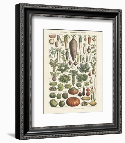 Legumes I-Adolphe Millot-Framed Art Print