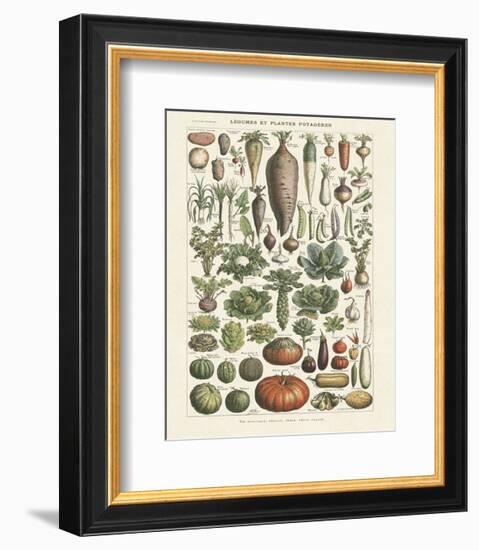 Legumes I-Adolphe Millot-Framed Art Print