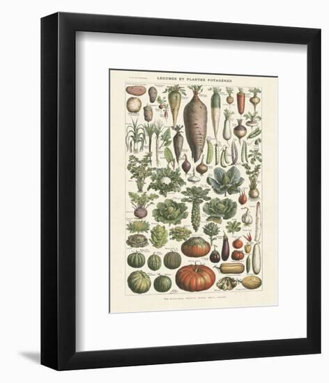 Legumes I-Adolphe Millot-Framed Art Print