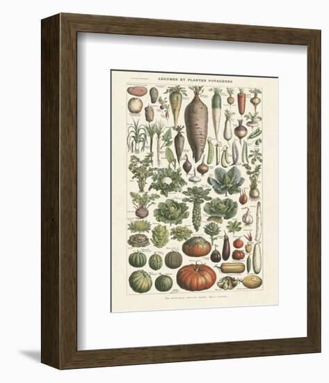 Legumes I-Adolphe Millot-Framed Art Print