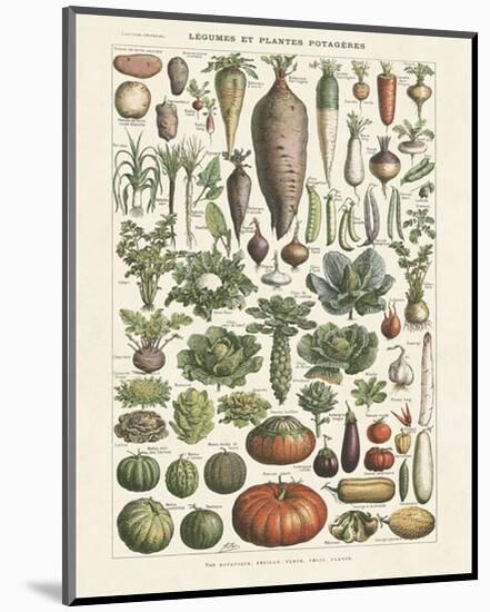 Legumes I-Adolphe Millot-Mounted Art Print