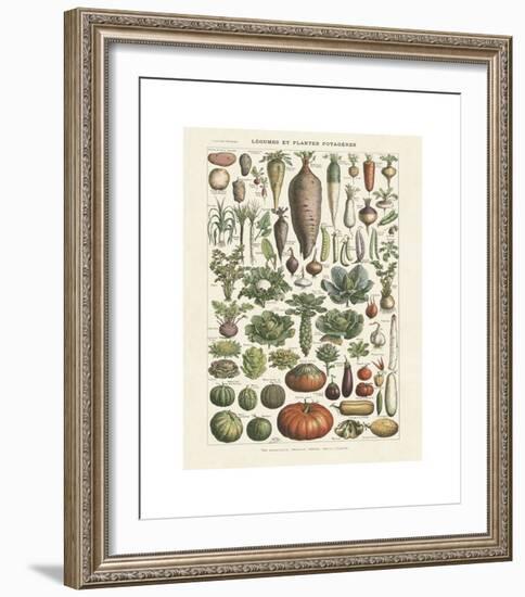 Legumes I-Adolphe Millot-Framed Giclee Print