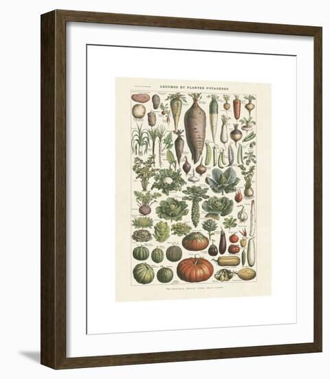 Legumes I-Adolphe Millot-Framed Giclee Print