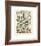 Legumes I-Adolphe Millot-Framed Giclee Print