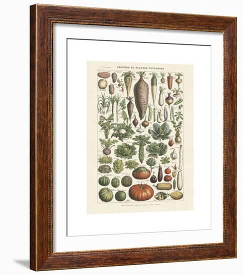 Legumes I-Adolphe Millot-Framed Giclee Print