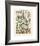 Legumes I-Adolphe Millot-Framed Giclee Print