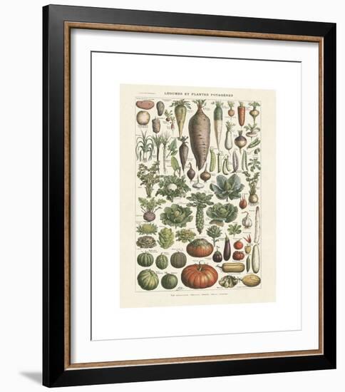 Legumes I-Adolphe Millot-Framed Giclee Print