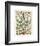 Legumes I-Adolphe Millot-Framed Giclee Print