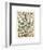 Legumes I-Adolphe Millot-Framed Giclee Print