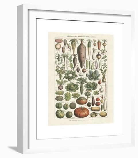 Legumes I-Adolphe Millot-Framed Giclee Print