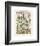 Legumes I-Adolphe Millot-Framed Giclee Print