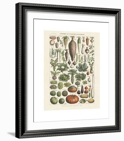 Legumes I-Adolphe Millot-Framed Giclee Print