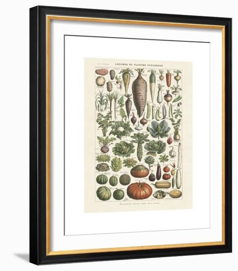 Legumes I-Adolphe Millot-Framed Giclee Print