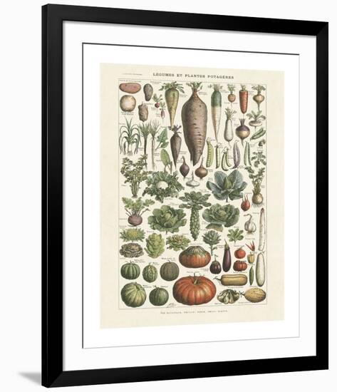 Legumes I-Adolphe Millot-Framed Giclee Print