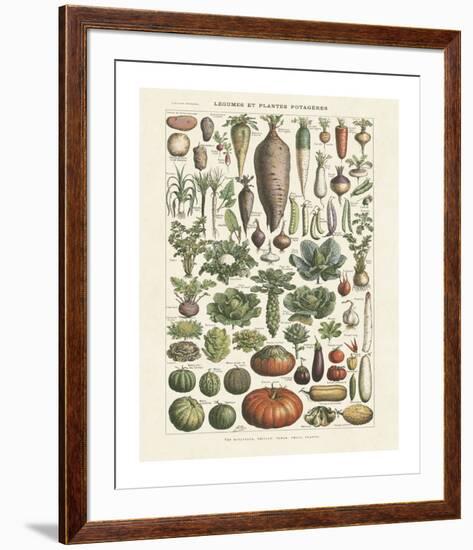 Legumes I-Adolphe Millot-Framed Giclee Print