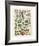 Legumes I-Adolphe Millot-Framed Giclee Print