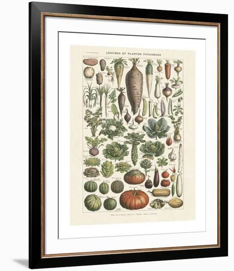 Legumes I-Adolphe Millot-Framed Giclee Print