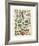 Legumes I-Adolphe Millot-Framed Giclee Print