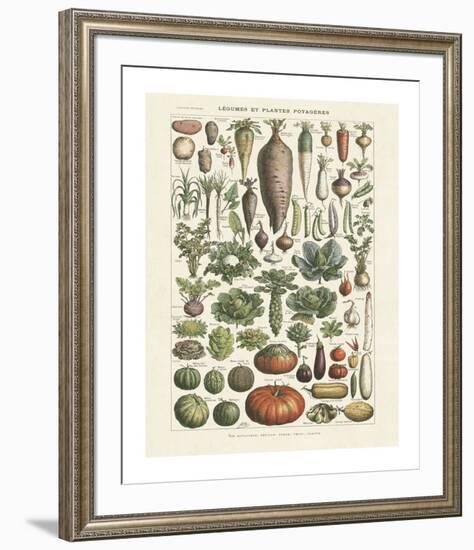 Legumes I-Adolphe Millot-Framed Giclee Print