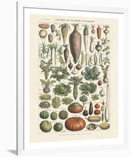 Legumes I-Adolphe Millot-Framed Giclee Print