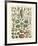 Legumes I-Adolphe Millot-Framed Giclee Print