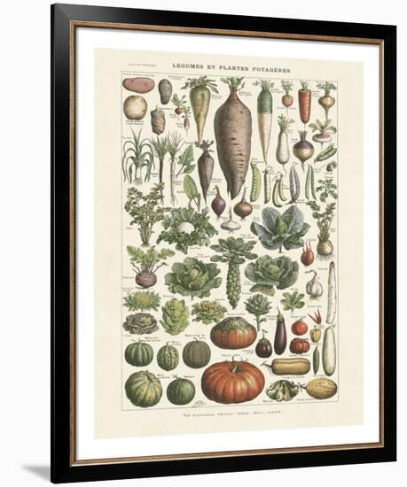 Legumes I-Adolphe Millot-Framed Giclee Print