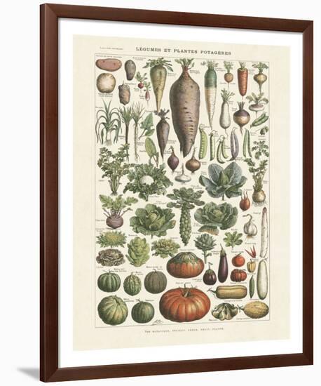 Legumes I-Adolphe Millot-Framed Giclee Print