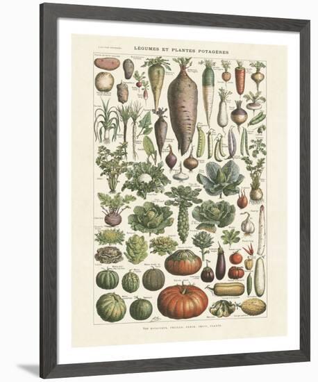 Legumes I-Adolphe Millot-Framed Giclee Print