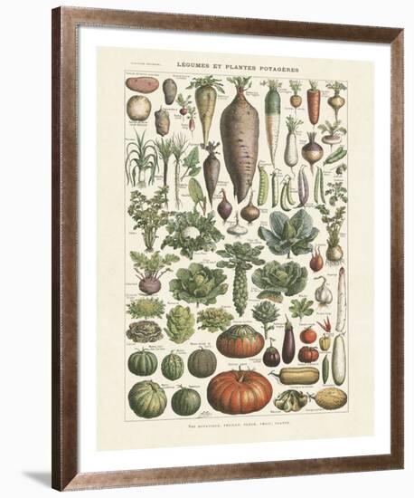 Legumes I-Adolphe Millot-Framed Giclee Print