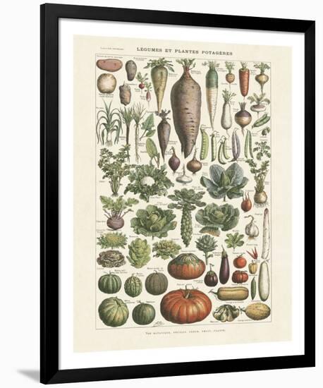 Legumes I-Adolphe Millot-Framed Giclee Print