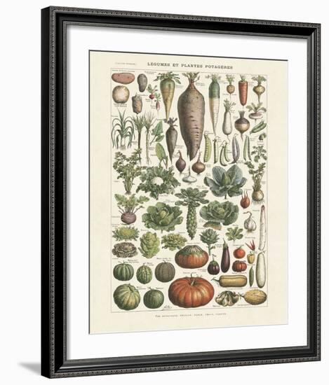 Legumes I-Adolphe Millot-Framed Art Print