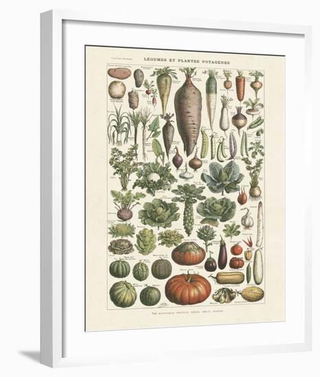 Legumes I-Adolphe Millot-Framed Art Print