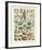 Legumes I-Adolphe Millot-Framed Art Print